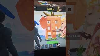 AVXRY wanna trade