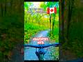 Squirrel Hills Trail | Minnedosa Adventure POV Sunset Ride Adrenaline Rush|Only experts #buhaycanada