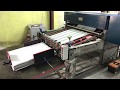 Servo precision semi automatic paper reel to sheet cutting machine