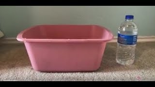 How to Give Your Hermit Crabs a Bath
