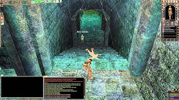 How to pull as melee character - Dark Age of Camelot