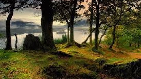 القرآن الكريم تلاوة مؤثرة خاشعة مبكية روعةThe Noble Quran