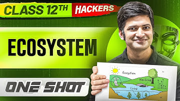 ECOSYSTEM in ONE SHOT || Full Chapter || Class 12 BOARDS || PW