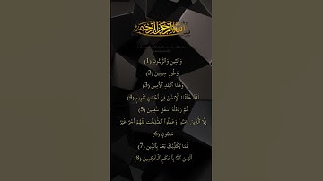 القرآن الكريم - سورة التين - القارئ عبدالله الموسى