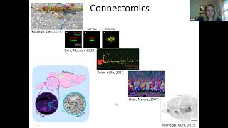 neuroscience methods lecture 8: anatomical tracing techniques Net Worth