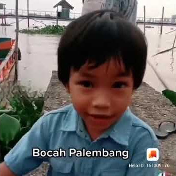wong palembang ni bosss