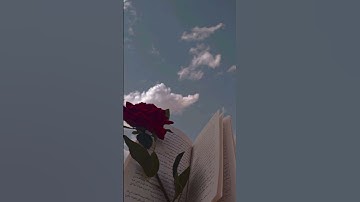 #قران_كريم #تلاوة_خاشعة #قران_كريم #اكسبلور #العيد #duet #قرآن #تيك_توك #لايك #حالات_واتس #دويتو