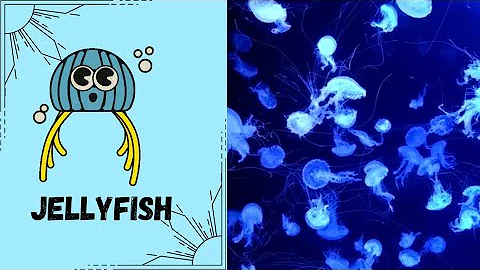 sea animals for kids | sea animals for kids | kids vocabulary | learn english | educational videos