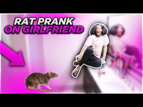 extreme-rat-prank-on-girlfriend!!!-**gone-wrong**