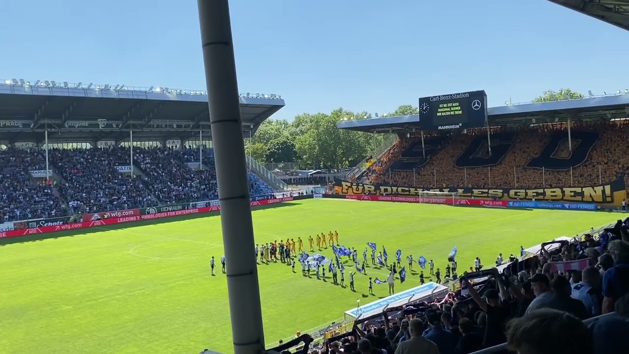 Waldhof Mannheim - Dynamo Dresden 10.05.2025 Blau und Schwarz