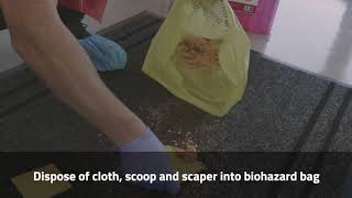 Biohazard clean: Body fluid spillage - soft surfaces screenshot 5