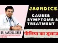 Jaundice causes symptoms  treatment  piliya ka ilaj  dr harshal shah indore