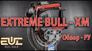 EXTREME BULL -  XM (Обзор -Русский язык)