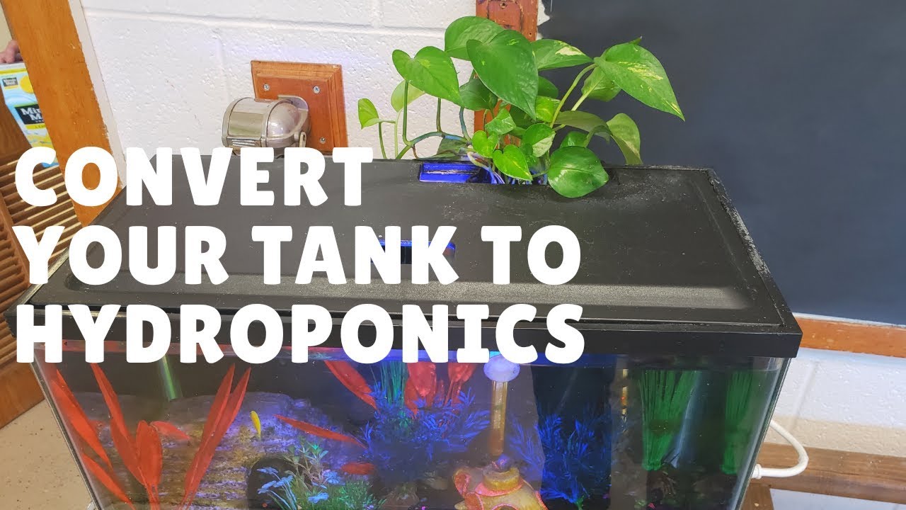 Herramienta Creativa Soiless Hydroponic Growing & Fish Tank Kit de sis 