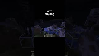 What Is This Mojang?