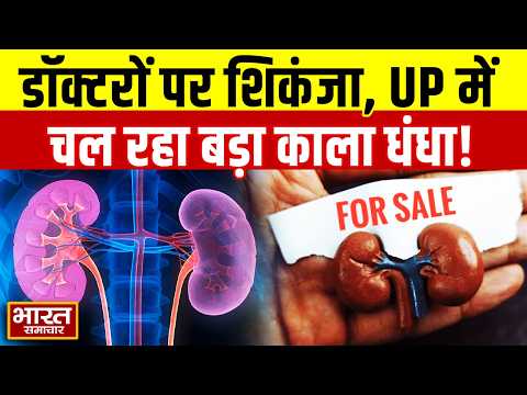 किडनी बिकाऊ है, खरीदोगे...! यूपी में चल रहा काला धंधा, खुलासे के बाद शिकंजे में कई डॉक्टर | BIg News
