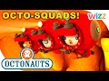 @Octonauts - Octo-Squads | Compilation | Cartoons for Kids | @Wizz