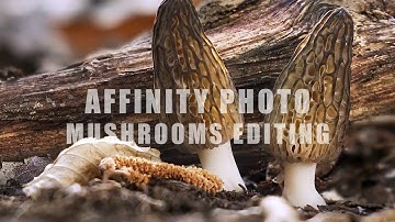 Affinity Photo - mshrooms editing (hyperlapse)