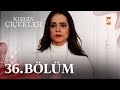 Kırgın Çiçekler 36. Bölüm - atv