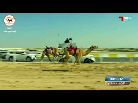 ش11 ارتياد ل الشيخ سلطان بن جاسم بن فهد آل ثاني مهرجان سمو الأمير المفدى حقايق بكار 6 01 47