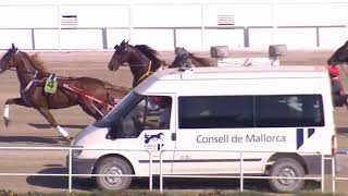 Vidéo de la course PMU GRAND PRIX DES BALEARES