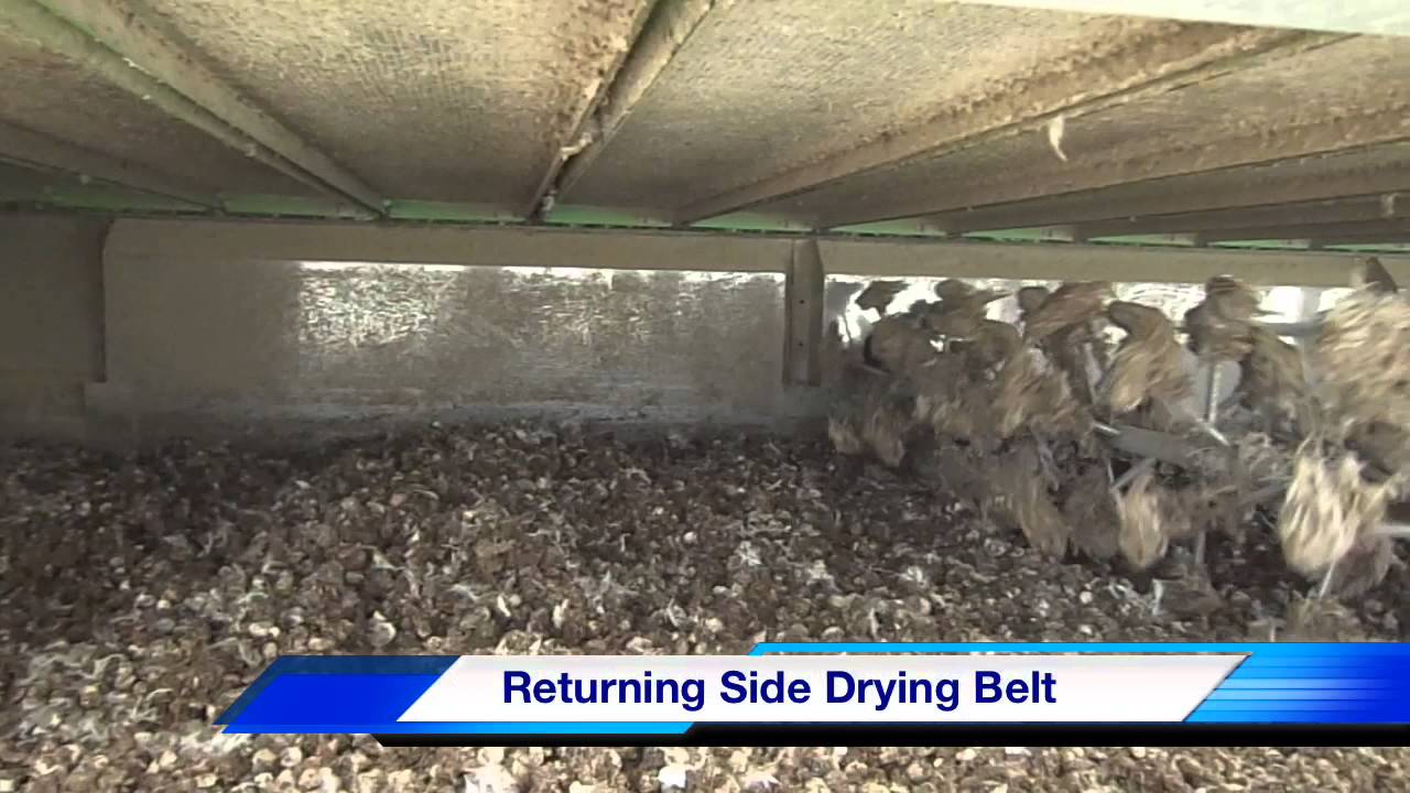 Demonstration of the Qalovis Drying System