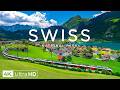 Swiss National Park 4K | Wild Switzerland – Forest Trails, Mountain Rivers & Scenic Alpine Beauty