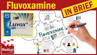 Fluvoxamine (Luvox): What Is Fluvoxamine Used For? Uses, Dosage and Side Effects of Fluvoxamine