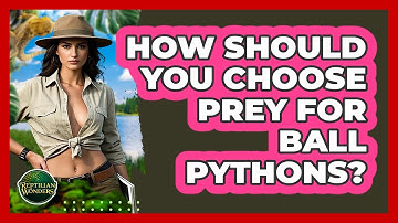 How Should You Choose Prey For Ball Pythons? - Reptilian Wonders