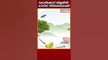 Kozhikode Nipah Suspect |  നിപ സംശയം; കോഴിക്കോട് ജില്ലയില്‍ മാസ്‌ക് നിര്‍ബന്ധമാക്കി #shorts