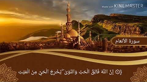 ما تيسر من سورة الأنعام " إن الله فالق الحَبِّ وَالنَّوَىٰ"