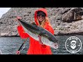 Fishing for big yellowtail and massive red rockfish at the coronado islands  san diego fishing