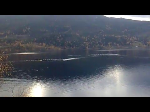 Video: Lake Wildermere Monster - Alternativ Visning