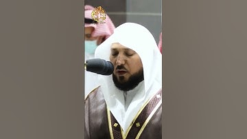 🌹🤍 قرآن كريم 🤍 وما تلك بيمينك يا موسى 🤍 تلاوة مباركة بصوت هادئ 🤍 القارئ الشيخ ماهر المعيقلي 🤍🌹