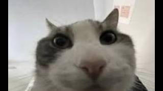 rematch ama facecamli