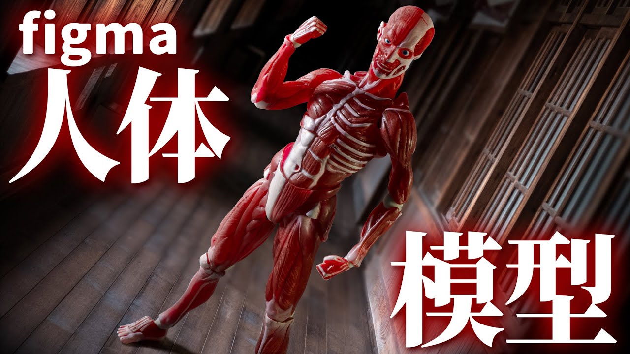 絵を描く時の参考になりそうな元気に躍動する剥き出しの筋肉！「figma