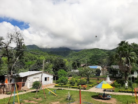 Recorriendo Sanandita en Tarija Bolivia - flora del lugar - un poco de historia