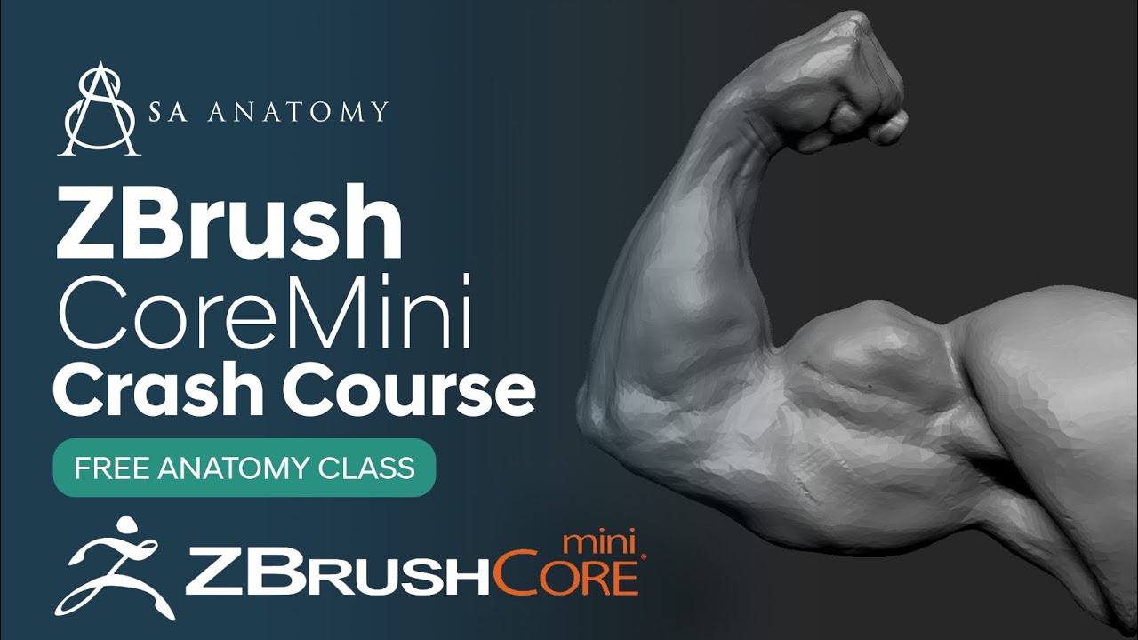 zbrush crash course