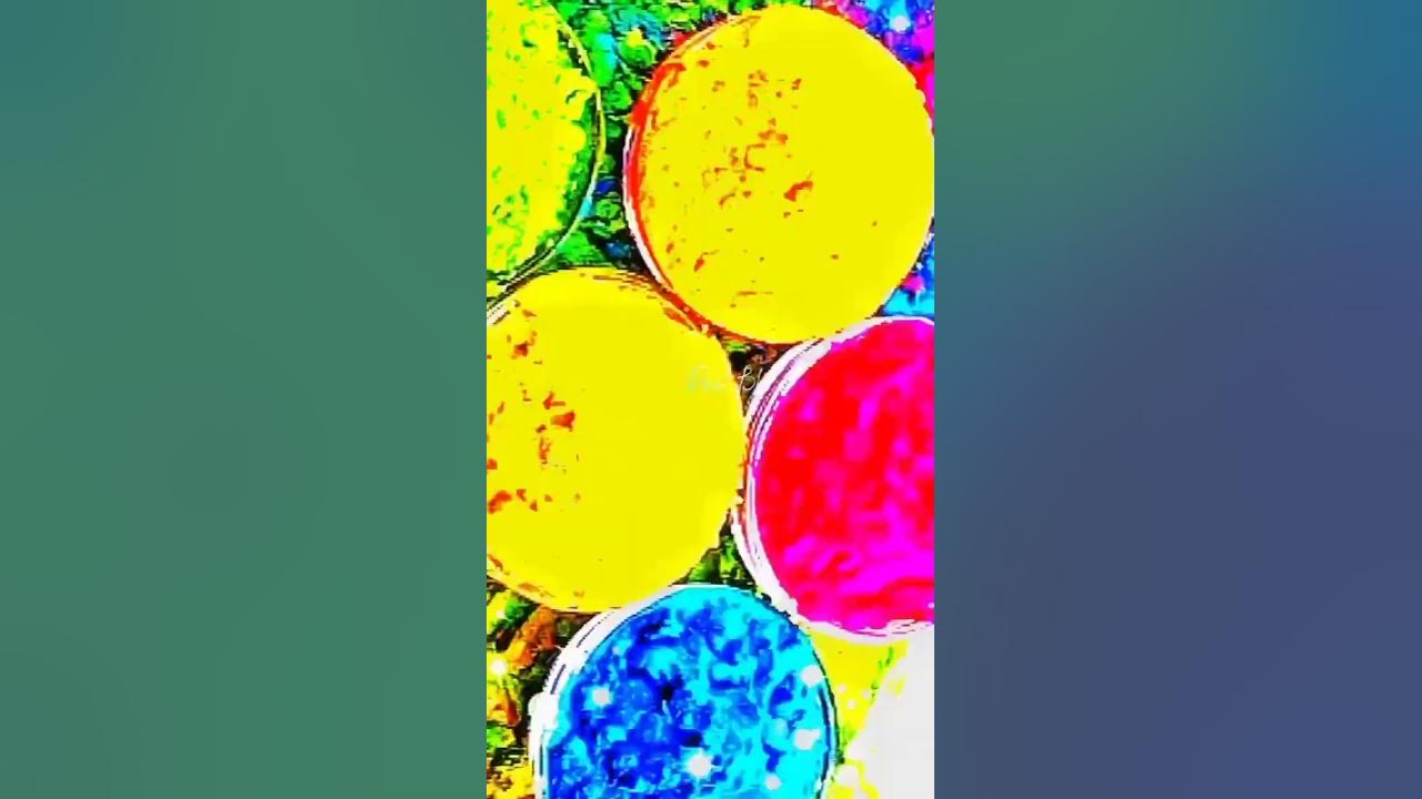 holi youtube