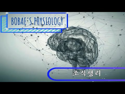 생리학 - 조직생리