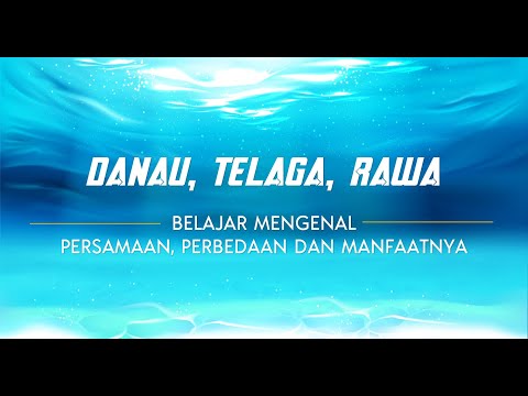 Video: Perbedaan Antara Danau Dan Laut