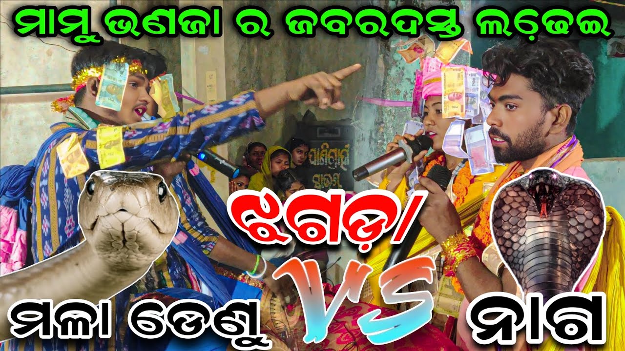 Deepa nag vs ritu suna ladies kirtan Sambalpuri song  kada takar kirtan baithaki program #tapastv