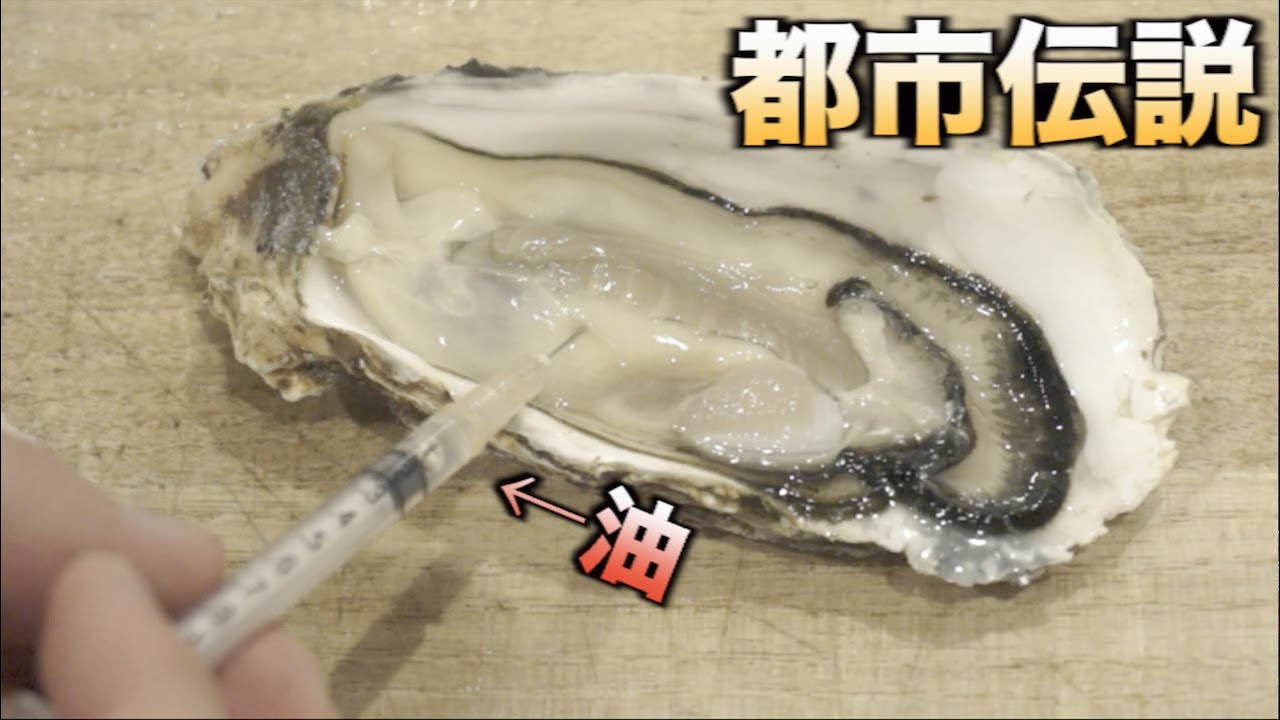 都市伝説 注射器でカキの中に油を注入して揚げると Youtube 都市伝説 注射器でカキの中に油を注入して揚げると Youtube