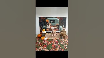 This fall truck backdrop looks versatile!Do you want to miss it this year?#katebackdrop #photography