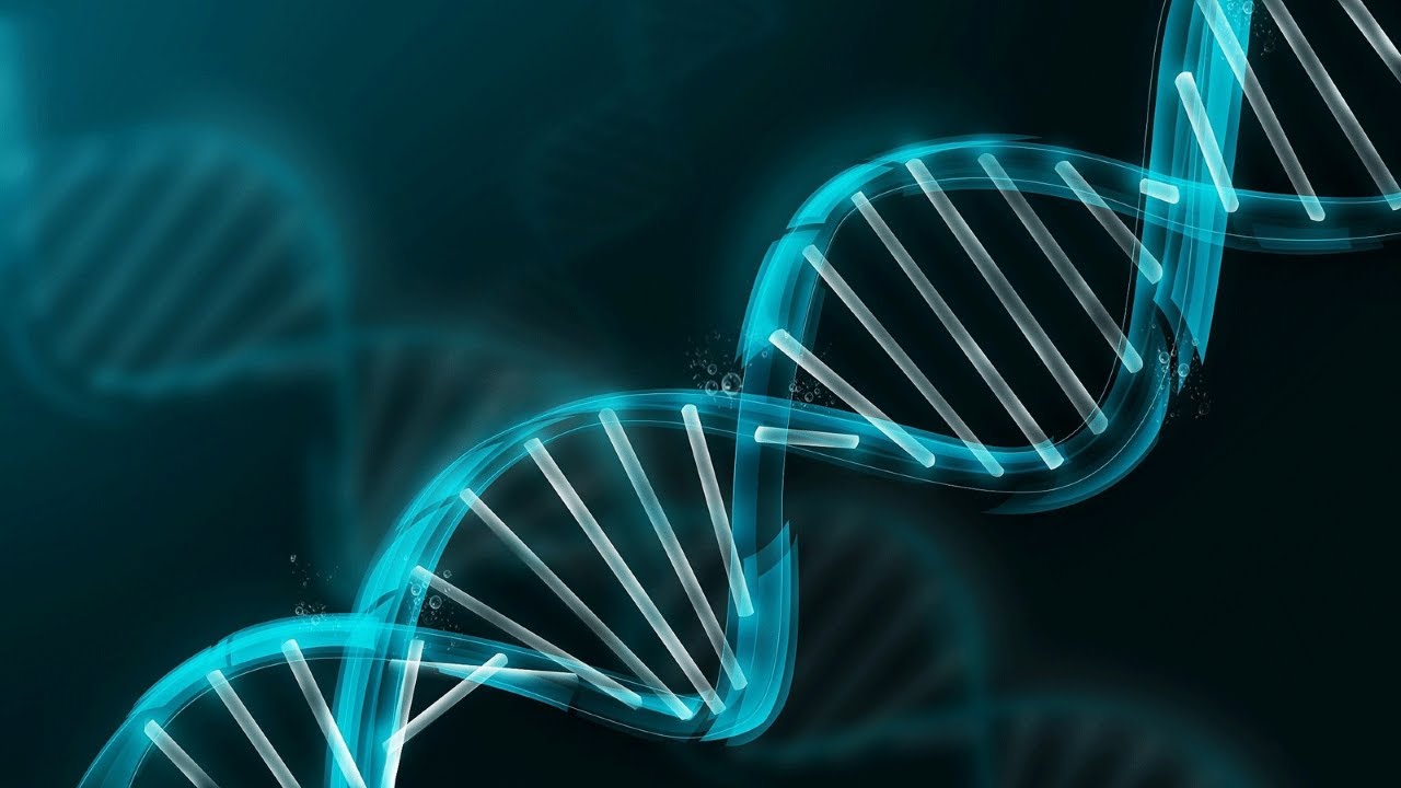 Agitez vos neurones ! | Les études ADN récréatives