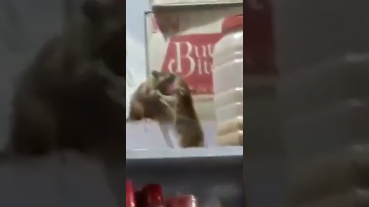 Pertandingan Sengit | Short Movie