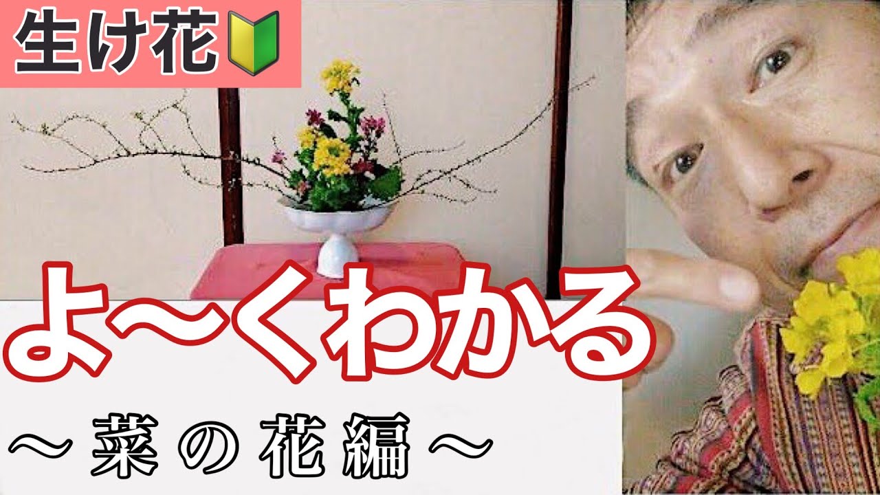 🔰【初心者向け 基本の生け花のポイント】始めよう！いけばな　菜の花･雪柳･小菊で、いけばな小原流 花意匠 ひらくかたちのいけばなレッスン！