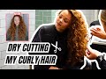 VISIT A CURL SPECIALIST WITH ME: DRY CURLY HAIRCUT, REFRESH + HAIRCUT Q&amp;A