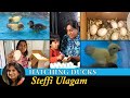 Hatching duck eggs in tamil  homemade incubator for duck eggs in tamil