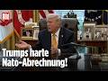 Trump Rechnet Brutal Mit Nato Partnern Ab Sie Lassen Uns Im Stich